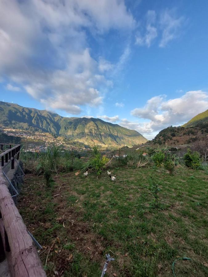Lameiros Cottage Sao Vicente  Ngoại thất bức ảnh